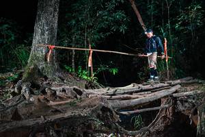 BIB: 
                            <button type="button" onclick="openModal(27460518)" class="btn btn-primary btn-sm float-right btn-popup" data-toggle="modal" data-target=".modal-high-quality">
                        <i class="fas fa-shopping-cart"></i> Add to Cart
                    </button>
                                            <button type="button" onclick="isThisMe(27460518, true)" class="btn btn-success btn-sm float-right btn-popup btn-isme hidden" data-toggle="tooltip" data-placement="bottom" title="นี่คือรูปของคุณใช่ไหม คลิกที่นี่เพื่อเอาเข้าอัลบั้ม">
                        <i class="fas fa-plus"></i> Add to album
                    </button>
                    <button type="button" onclick="isThisMe(27460518, false)" class="btn btn-warning btn-sm float-right btn-popup btn-isnotme hidden">
                        <i class="fas fa-ban"></i> Remove from album
                    </button>